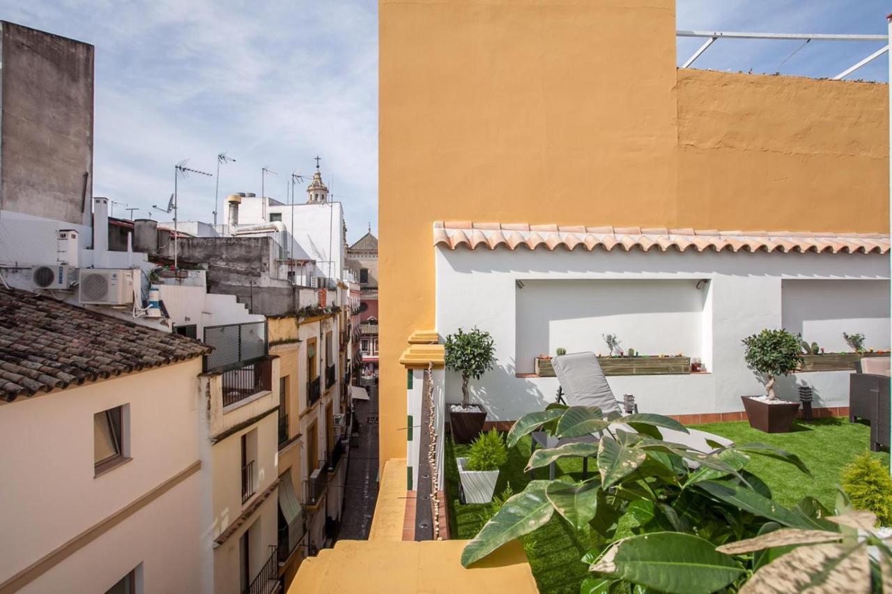Atico Duplex Gran Terraza ↑ Calidades 2 Hab 2banos